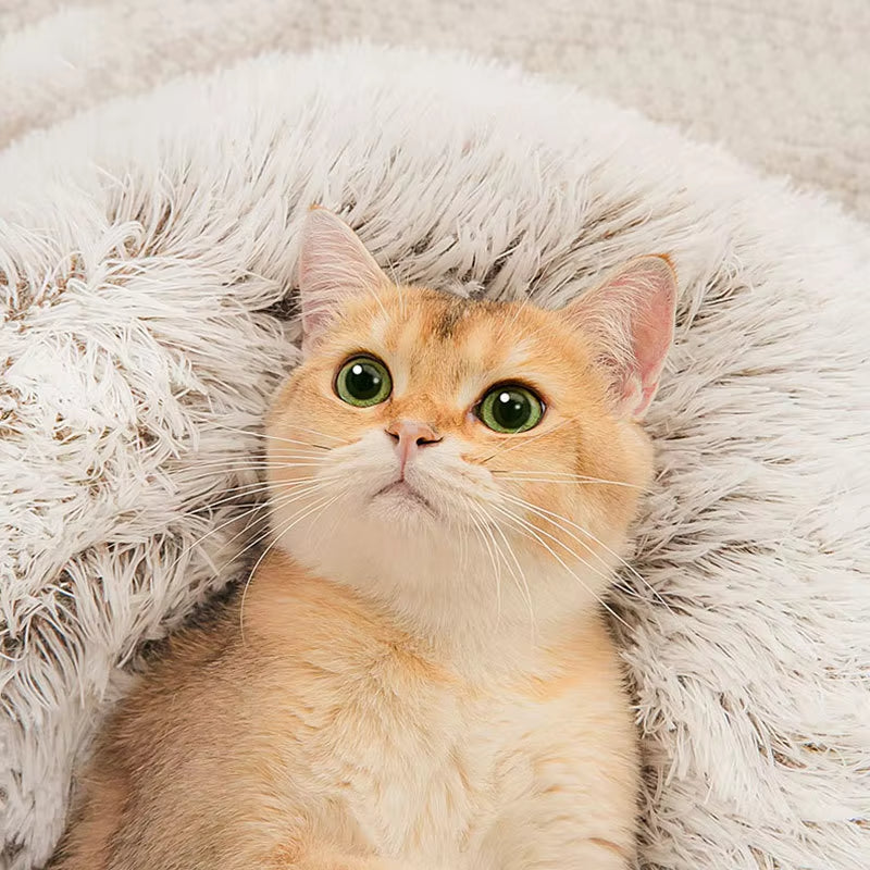 Winter New Long Plush Pet Cat Bed Round Cat Cushion
