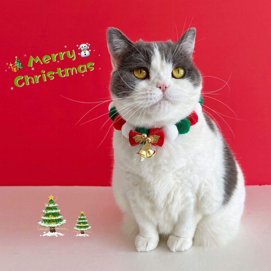 Christmas Cute Dog Cat Plush Ball Necklace Collar With Bow