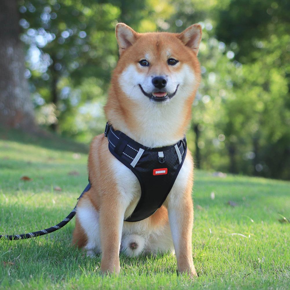 Nylon Dog Harness No Pull Breathable Reflective Pet Harness